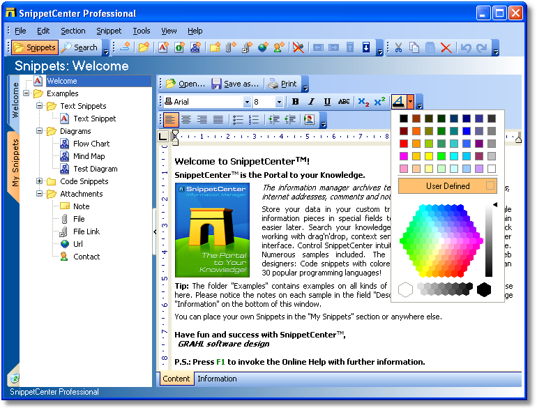 Screenshot for SnippetCenter Professional 2.1.0.60
